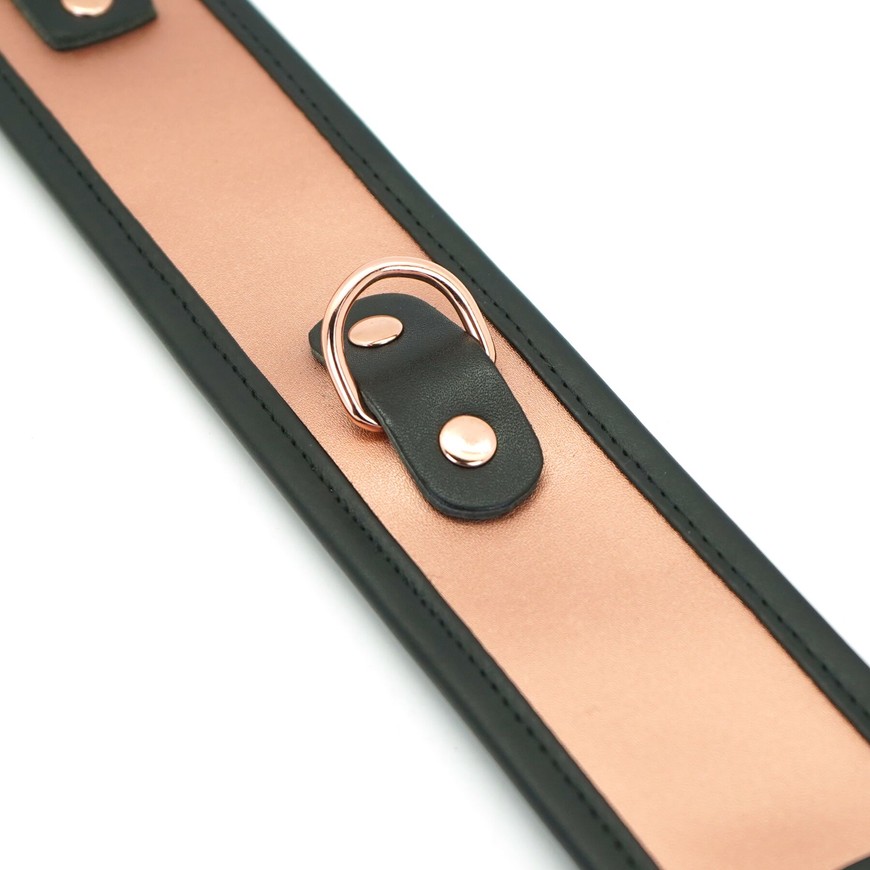 Нашийник з повідцем Liebe Seele Rose Gold Memory Collar with Leash SO9494 фото