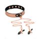 Нашийник із затискачами для сосків Liebe Seele Rose Gold Memory Collar with Nipple Clamps SO9495 фото 2