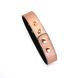 Нашийник із затискачами для сосків Liebe Seele Rose Gold Memory Collar with Nipple Clamps SO9495 фото 11