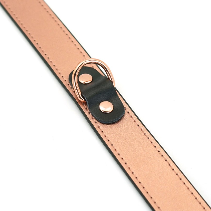 Нашийник із затискачами для сосків Liebe Seele Rose Gold Memory Collar with Nipple Clamps SO9495 фото