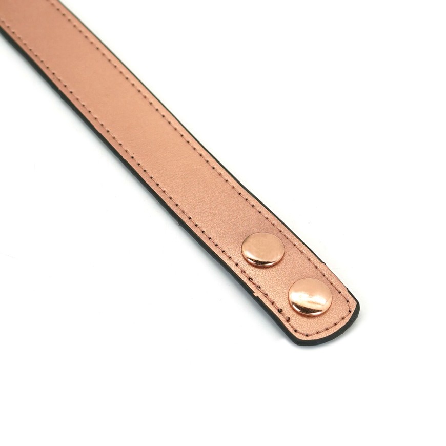 Нашийник із затискачами для сосків Liebe Seele Rose Gold Memory Collar with Nipple Clamps SO9495 фото