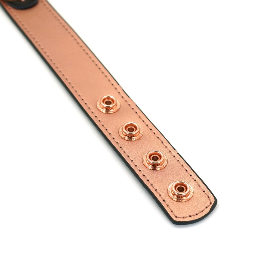 Нашийник із затискачами для сосків Liebe Seele Rose Gold Memory Collar with Nipple Clamps SO9495 фото