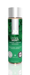 Оральний лубрикант на водній основі System JO H2O Cool Mint зі смаком м'яти 120 мл SO1775 фото
