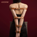 Наручники LOCKINK Wristcuffs/Anklecuffs Brown Set універсальний розмір SX0836 фото 13