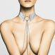Намисто-комір Bijoux Indiscrets Desir Metallique Collar Silver SO5919 фото 2