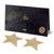 Наклейки на соски Bijoux Indiscrets Flash Star Gold SO2340 фото