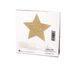 Наклейки на соски Bijoux Indiscrets Flash Star Gold SO2340 фото 3