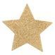 Наклейки на соски Bijoux Indiscrets Flash Star Gold SO2340 фото 2