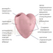 Вакуумний стимулятор Satisfyer Cutie Heart Light Red SO6286 фото 2