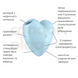 Вакуумний стимулятор Satisfyer Cutie Heart Blue SO6287 фото 2