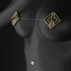 Затискачі для сосків з важкою підвіскою LOCKINK Adjustable Nipple Clamps with Heavy Pendant Golden SX0846 фото 13